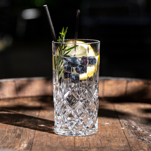 Drink gin tonic 01