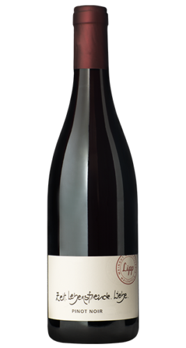 Pinot noir carina lipp graubuenden schweiz rotwein