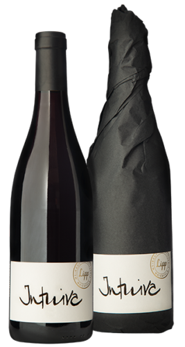 Pinot noir intuiva carina lipp graubuenden schweiz rotwein